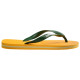 Havaianas Brasil Logo